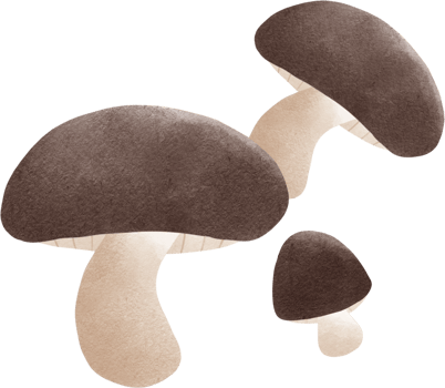 brown mushrooms watercolor clipart png