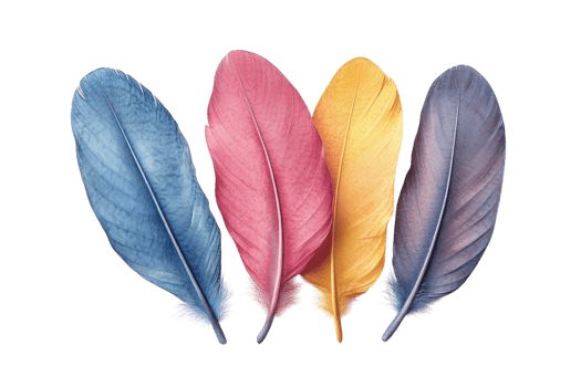 Vibrant colored feathers arranged in a row showcasing nature's artistry and diversity in hues and textures png