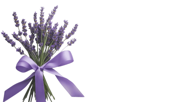 Beautifully Arranged Bunch of Fresh Lavender Tied with Purple Ribbon for Decorative and Aromatic Use. png