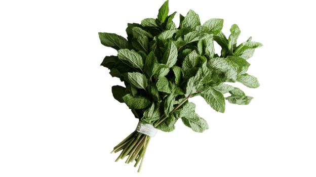 A Fresh Bunch of Mint Leaves on a White Background Perfect for Culinary and Natural Wellness Uses in Your Projects. png