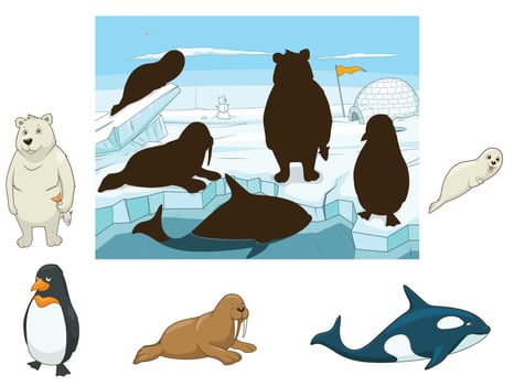 Arctic animals educational game for kids illustration vector