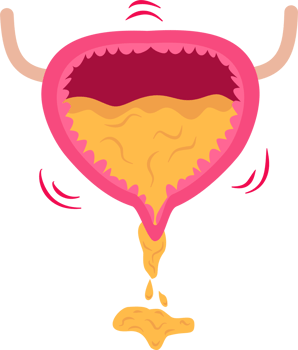 Urinary bladder incontinence png