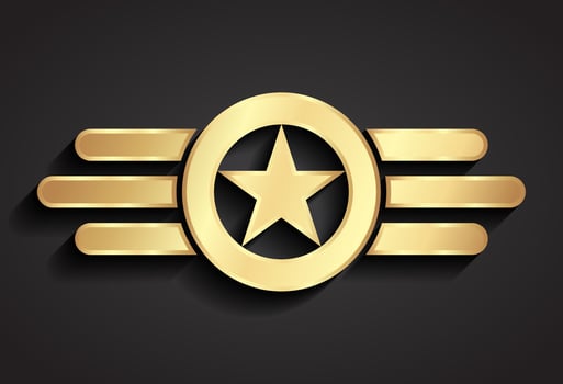 3d golden military logo design vector