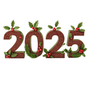 2025 New Year Christmas Texting with holly berry png