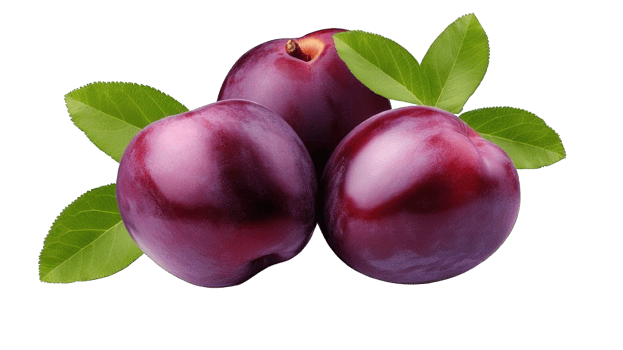 Collection of . Plum, isolated on a transparency background. png