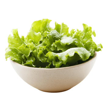 A bowl of green lettuce is sitting on a white background png