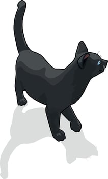 Isometric Black Cat vector