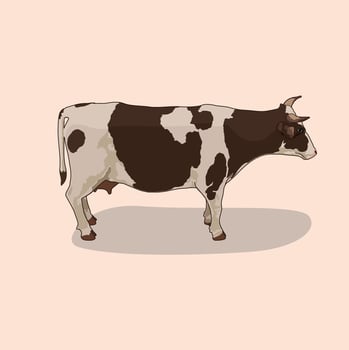 Isometric Cow Illustration vector