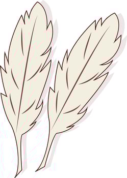 Two Chicken Feather for Easter Decoration vector