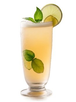 Sri Lankan Ginger Beer in clear glass garnished with slice of lime and sprig png