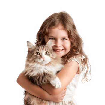 Smiling Little girl holding a Cat full body isolate on transparency background png