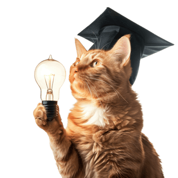 full body cat wearing graduate cap and holding light bulb isolate on transparency background png