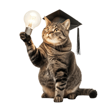 full body cat wearing graduate cap and holding light bulb isolate on white background, png