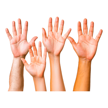 Diverse Hands Raised Showing Various Skin Tones and Gestures png