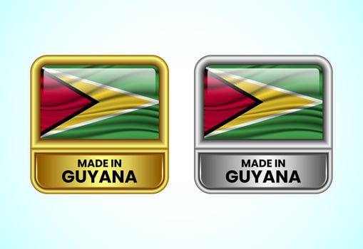 Made in Guyana label icon in gold and silver color. Flag icon set for business vector
