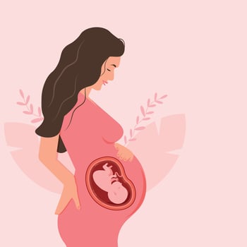 Happy pregnant woman holding her belly The expectation of child. Embryo baby vector