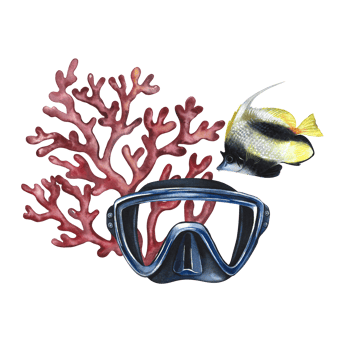 Marine, coral fish, coral and diver's mask. A hand-drawn watercolor illustration. Isolate. For postcards, prints, stickers and flyers. For banners and posters and business cards. png