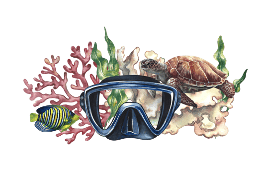 Diving. Coral fish, sea turtle, corals and a diver's mask. A hand-drawn watercolor illustration. Isolate it. For postcards, prints, stickers and flyers. For banners, posters and business cards. png