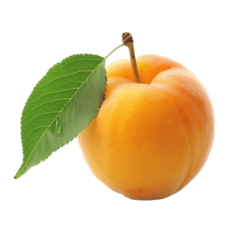 apricot with leaf on transparent background png