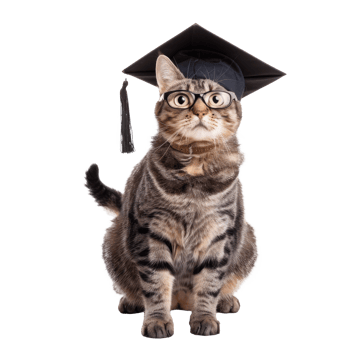 cat wearing glasses and graduate cap, full body standing isolate on white background, png