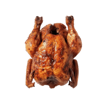 a chicken on a transparent background png