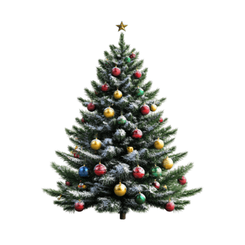 Beautiful Christmas Tree with Colorful Baubles on Transparent Background png