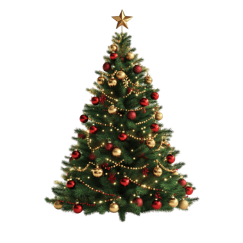 Beautiful Christmas Tree with Colorful Baubles on Transparent Background png