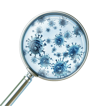 Magnified Bacteria Under Lens on Transparent Background png