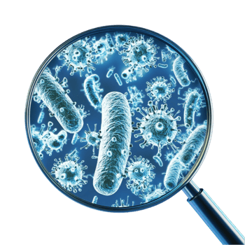 magnifying glass with bacteria and viruses png