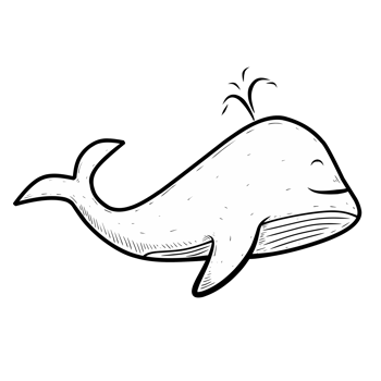 line illustration of a whale isolated png