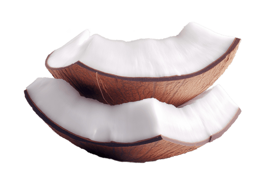 Fresh Coconut Pieces Tropical Fruit White Flesh Brown Shell Healthy Snack Food Photography Isolated png