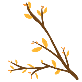 Leaf and branch illustration png