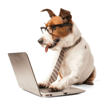 dog wearing glasses and tie using laptop, full body standing isolate on transparency background png
