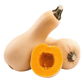 Butternut Squash Isolated for Culinary Use and Nutrition on transparent background. png