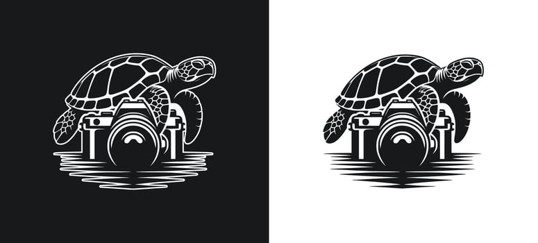 Turtle Photographer Silhouette illustration vector