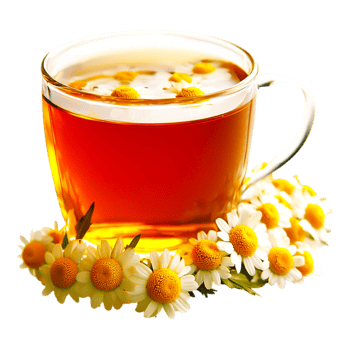 Chamomile Herbal Tea with Fresh Flowers in a Clear Glass Cup png