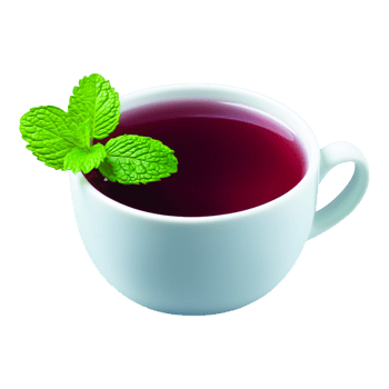 Fresh Herbal Tea in White Cup with Green Mint Leaf Decoration png