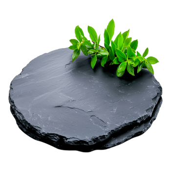Fresh Green Leaves on Elegant Slate Stone Serving Tray Display png