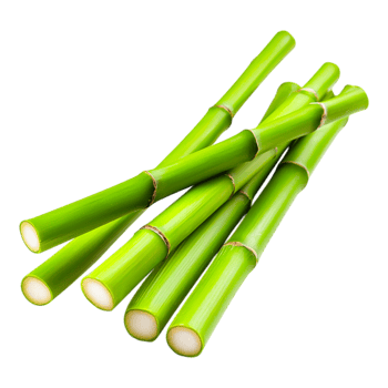 Fresh and vibrant green bamboo sticks arranged in neat clusters png