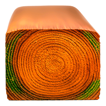 Close-Up View of Freshly Cut Wooden Log with Tree Rings and Textures png