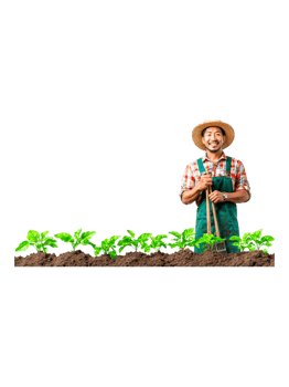 Joyful Gardener Smiling Amidst Lush Green Vegetables in Garden png