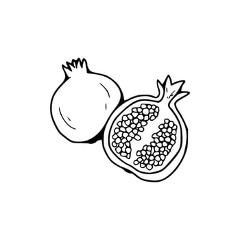 Pomegranate fruit coloring page vector