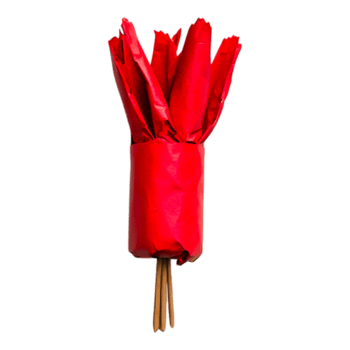 Bright Red Wrapped Items with Sticks Perfect for Celebrations and Events png