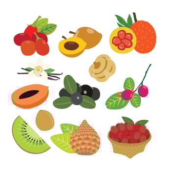 A Diverse Selection of Delicious Fresh Fruits vector