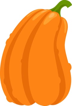 Long orange pumpkin with green stem isolated on white background, ideal for autumn, harvest, or halloween themes, representing healthy eating, festive decorations, and seasonal celebrations vector