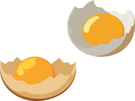 Two eggs in an eggshell on a white background vector