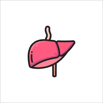 Liver icon in a line style on a white background vector
