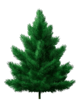 Lush Green Evergreen Tree png