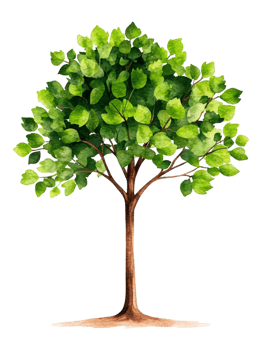 Lush Green Tree with Vibrant Leaves in Watercolor Style png