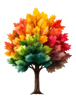Vibrant Autumn Tree with Colorful Leaves in Watercolor Style png